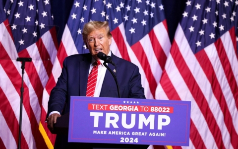 【特朗普胜选】对跨境电商的影响：挑战与机遇并存，注册美国公司成破局关键！