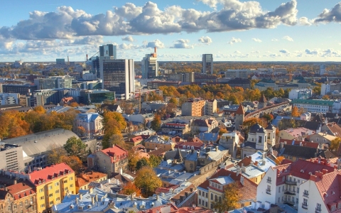 爱沙尼亚【税务最新指南】：税务体系、税种、如何报税等全面解析！