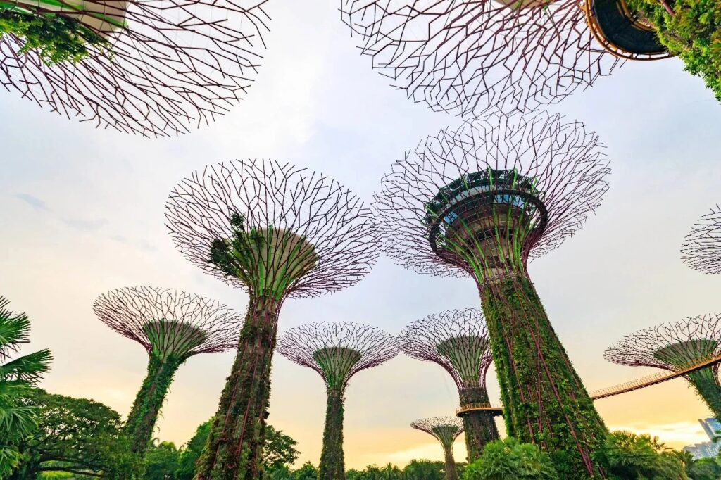 新加坡各类签证全面详细解析 ：WP、SP、EP、DP与LTVP的作用以及申请条件