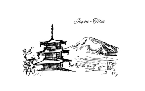 日本公司注册后期维护指南：税务、年审与运营关键事项