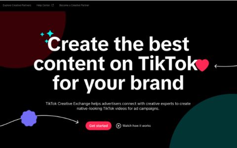 VidAU荣获TikTok官方创意素材服务商，加速广告起量