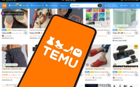 重磅！TEMU流量增长新功能即将上线，本土店如何借势崛起？