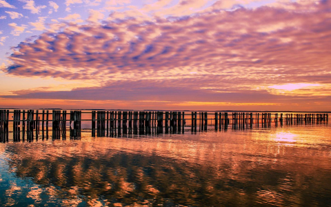 特拉华州公司注册最全指南：一文带你了解其优势、步骤、费用及管理