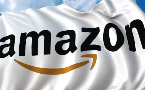 跨境电商必看！美国公司注册与亚马逊电商【税务实战指南】全面解析与策略优化