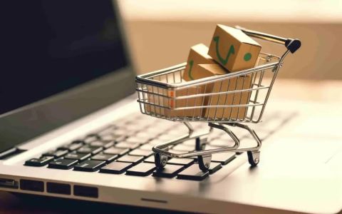 Temu荷兰市场崛起：460万用户背后的跨境电商新机遇