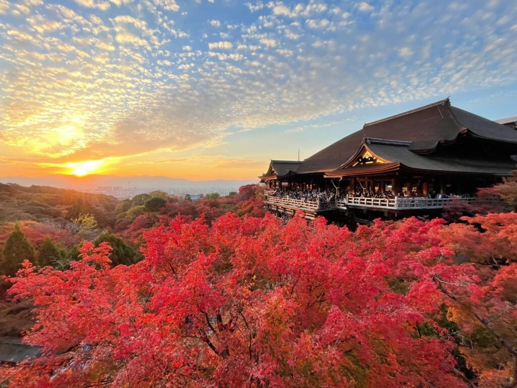 一文介绍日本经营管理签证：全面解析与申请攻略