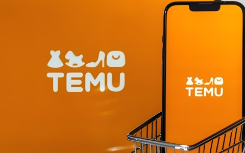 Temu欧洲市场崛起：深度解析【法国成为第二大市场】