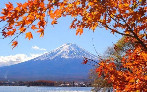 跨境电商企业进军日本市场：深入洞察消费者特征及日本消费文化