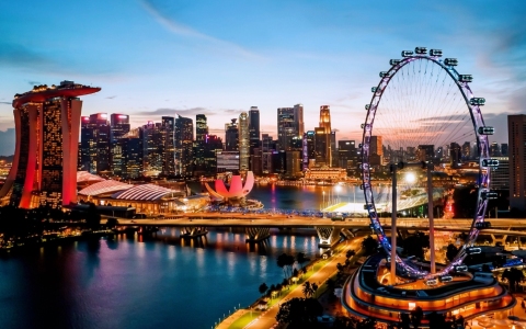 一站式指南：如何轻松注册新加坡公司并享受税收优惠？