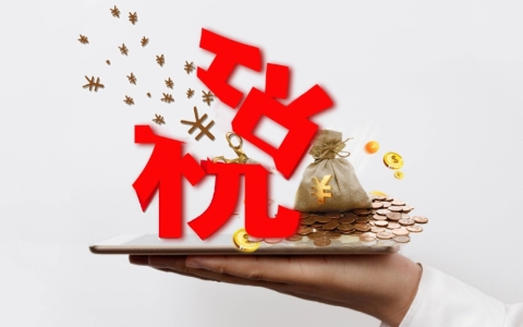 【跨国企业必看】如何帮助新加坡公司规避“双重征税”困境：详细指南