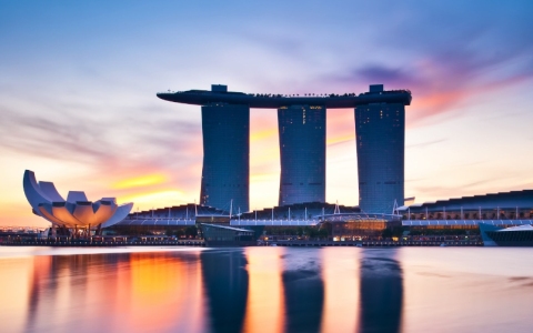 【新加坡基金会】全面解析：注册、特点与替代方案