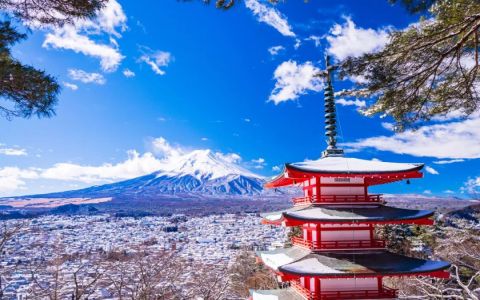 2025最新日本公司注册指南：深入剖析市场、注册步骤、维护要点及注意事项