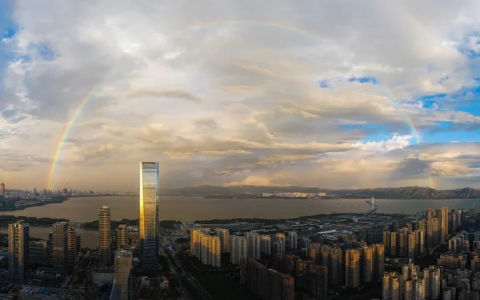 【深度解析】香港营商环境——从产业环境到海外贸易关系的全面探索