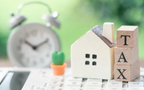 【迪拜税务体系】：税种介绍、税收优惠及企业注册一站式指南