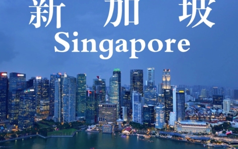 2025年新加坡公司注册全攻略：流程、条件与税务优势