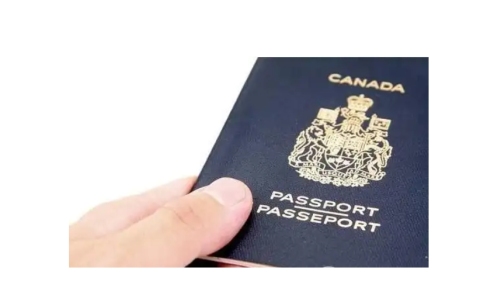 马来西亚工作签证申请攻略：EP与PVP，哪个更适合你？