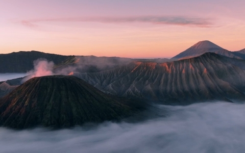 2025年【印度尼西亚市场投资指南】：外国投资者税务、公司注册与法律框架全解析