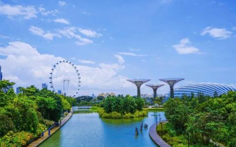 新加坡基金管理：税收优惠与外资激励政策深度解析