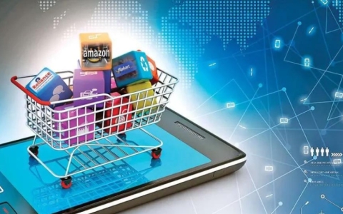 深度剖析【2025年全球跨境电商】：分析各个国家电商市场