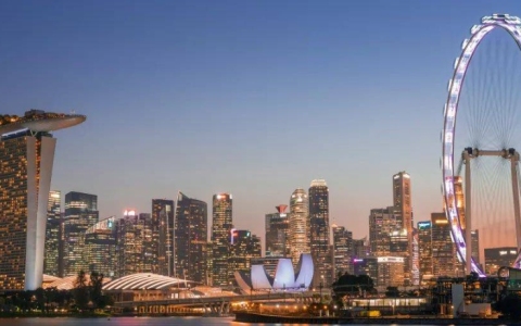 2025年【新加坡市场】深度剖析：中国企业如何布局与抓住机遇详解