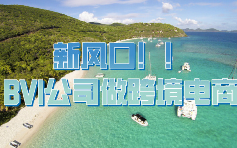 2025跨境电商新风口：用BVI公司做跨境电商——该如何抓住这波机遇？