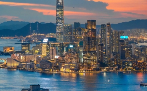 【香港公司注册类型】大盘点：如何选择最适合自己的企业形式？