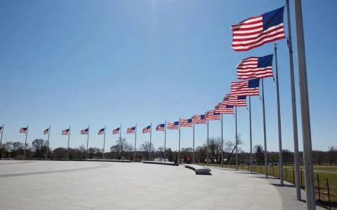 美国SSN申请全攻略：在美生活与工作的关键号码