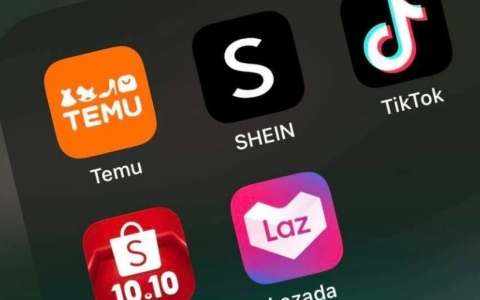 2025年全球电商平台深度对比：哪些平台最适合你的产品和目标市场？