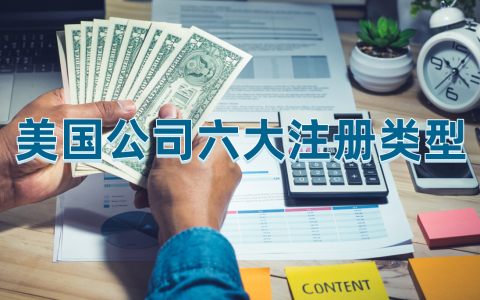2025年美国公司注册最全指南：六大类型全面剖析，哪种最适合你？