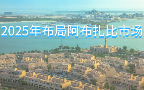 2025布局阿布扎比市场全攻略：策略、政策红利与市场新机遇