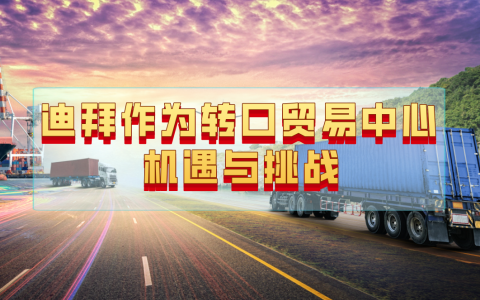 【全面解析】迪拜作为转口贸易中心的机遇与挑战