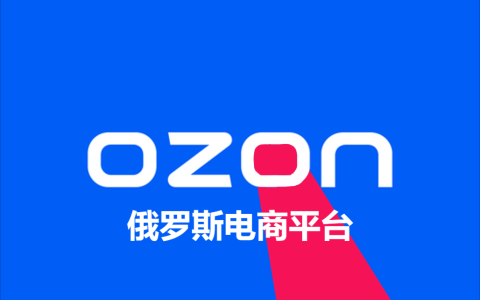 Ozon平台2025热门品类【揭秘】：中国卖家如何入驻并制胜俄罗斯电商市场？