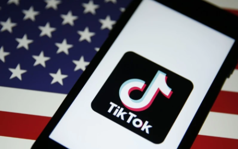 2025年TikTok电商美国市场大热！中国卖家如何抓住机遇破局？