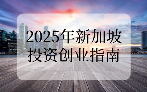 2025年新加坡投资创业【完整版指南】：如何利用其独特优势开启你的全球业务？