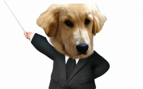 《从“洋”老板到内地老板：注册公司不踩雷，看这篇！》