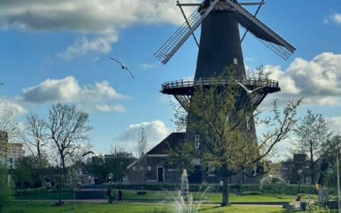 【保姆级攻略】超全解析！荷兰公司类型&注册流程