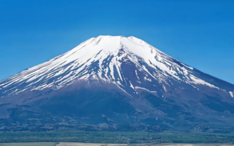 2025日本公司注册【最全攻略】来看看你适合什么类型的公司！