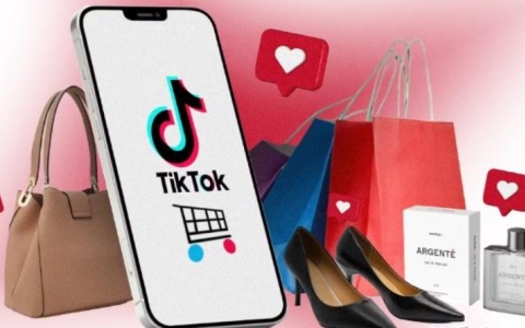 【超全解读】TikTok Shop 与 Tokopedia 合并、Shopee 盈利突破与合规挑战！东南亚电商这些事你知道吗？