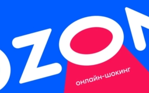 【超全解读】2025跨境电商新风向：Wildberries，Ozon，Chewy多平台掀起“中国卖家抢夺大战”，这把双刃剑我们要仔细掂量！