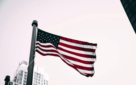 美国 LLC 报税必看：1099-NEC 填报与申报全流程（2026 最新指南）