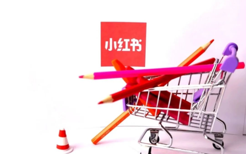 小红书电商出海领航计划：国内商家如何抓住全球新机遇？
