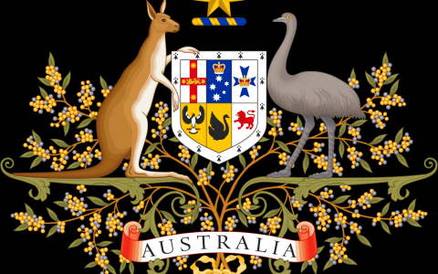 深度解读AUSTRAC牌照：如何确保你的金融业务在澳洲合法合规？