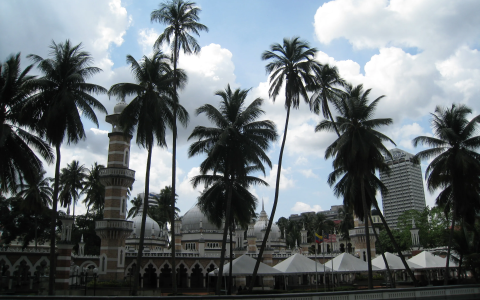 新西兰银行开户指南：如何在新西兰开银行账户？