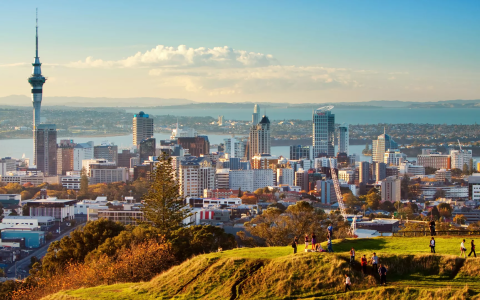 2025重磅消息！Chewy 向中国商家开放，机遇和挑战并存，中国商家该如何破局？