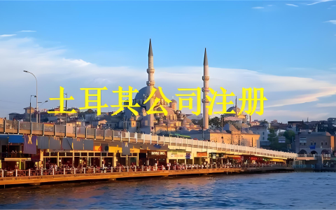 土耳其公司类型与注册流程详解，帮助你快速上手
