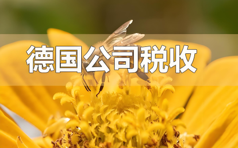 德国税务合规全攻略：企业与个人必备指南！
