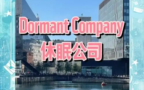 新加坡休眠公司指南：识别、重新激活及实践智慧