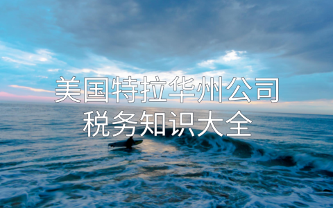 美国特拉华州公司【税务知识最全解析】：类型、税种、优惠与合规指南