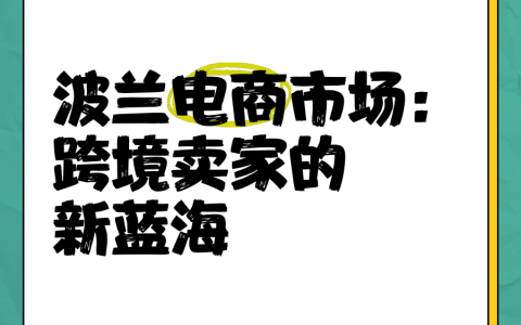 2025年2月波兰电商市场【全解析】：增长数据背后的挑战与机遇