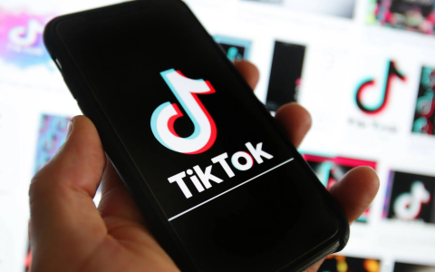 TikTok Shop 正式进军德国黑五战场：政策背景、玩法升级与中国卖家的新机会（2025 深度解读）